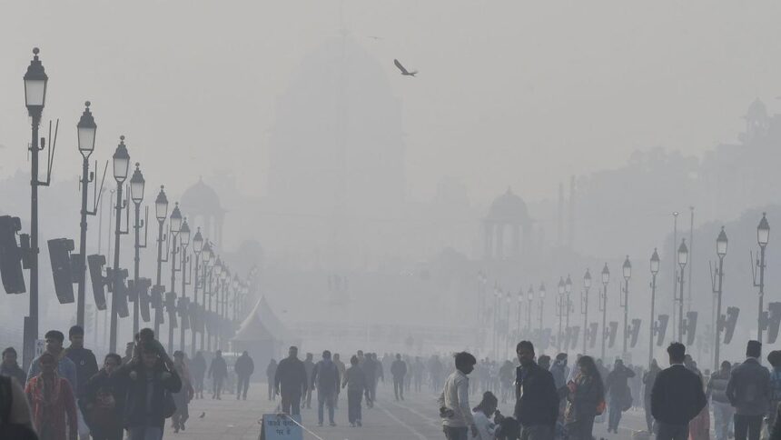 Close to freezing point: Mercury in Delhi plunges to 1.4 degrees Celsius