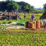 Union Cabinet approves setting up of new Primary Agricultural Credit Society in two lakh panchayats