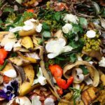 These companies want to tackle food waste with microbes