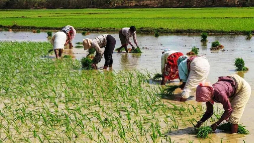 पीएम किसान योजना के हैं योग्य, फिर भी नहीं मिलेगी 13वीं किस्त! ये है वजह