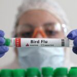 What is spillover? Bird flu outbreak underscores need for early detection to prevent the next big pandemic