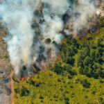 Cuban firefighters battle raging forest fire