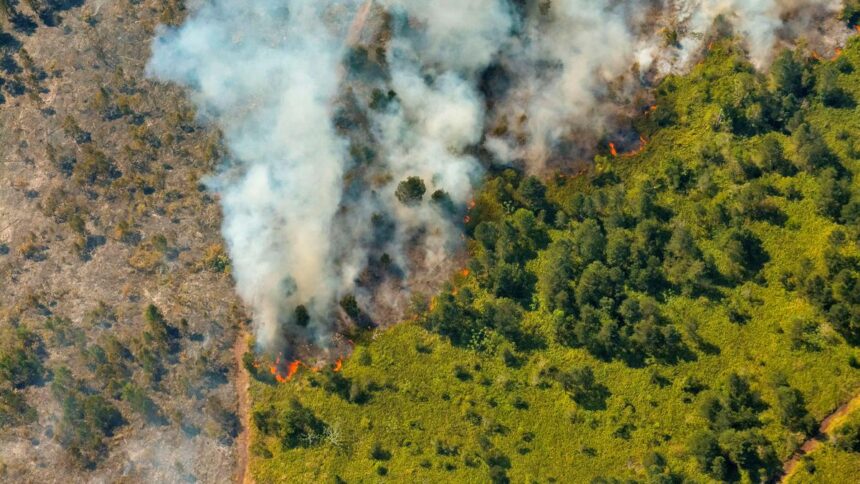 Cuban firefighters battle raging forest fire