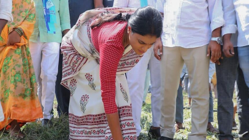 Sharmila seeks succour for rain-hit farmers in Telangana