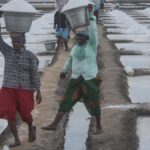 It is a rain of sorrows for salt farmers in Prakasam