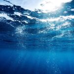 Meta’s former CTO has a new $50 million project: ocean-based carbon removal