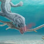 Fossils show ancient long-necked sea beast’s ‘gruesome’ decapitation