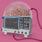 The Download: brain bandwidth, and artificial wombs