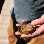 The Download: oyster aquaculture, and trusting AI with our bodies