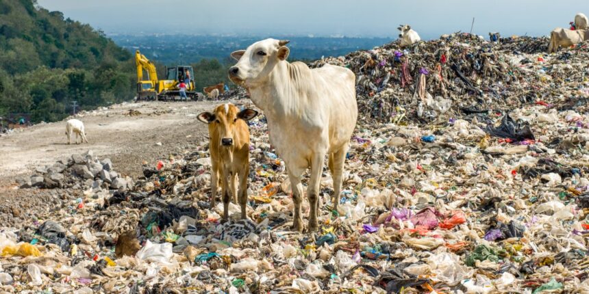 Plastic is a climate change problem. There are ways to fix it.