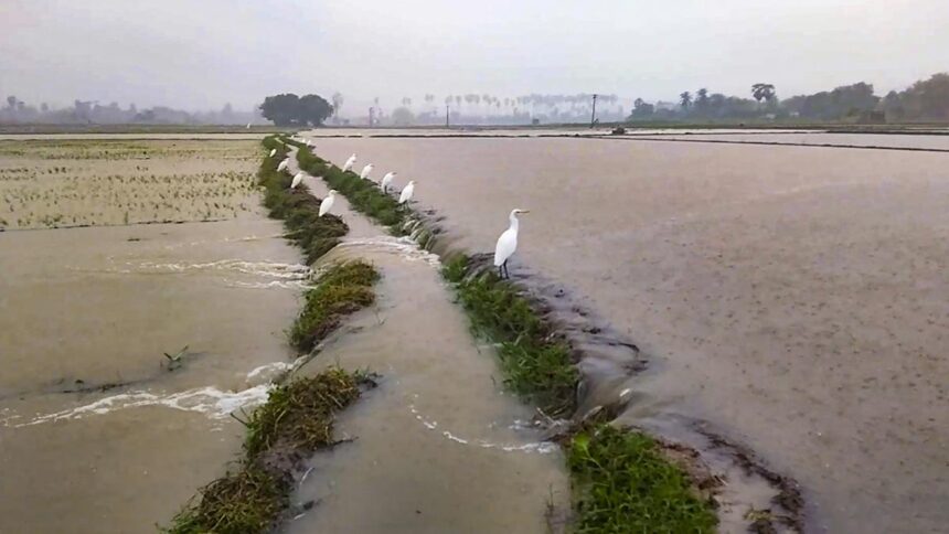 T.N. Rains | Extremely heavy rains ravage southern districts triggered by a cyclonic circulation over Comorin area