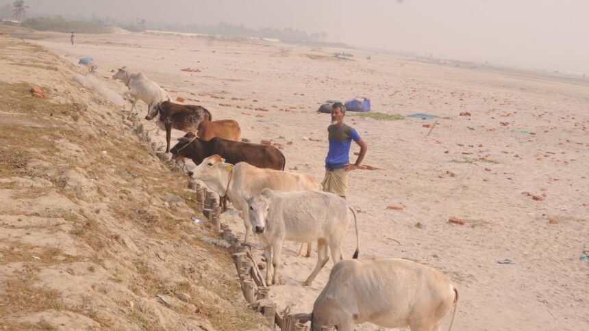 Rising sea, shrinking sands erode flair of the famed Ganga Sagar Mela