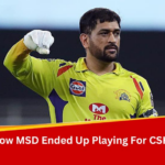 Did You Know: MS Dhoni Did Not Choose CSK; Threw Himself Into Auction For More Money