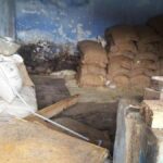 Shipping containers to replace two ration shops near Valparai to deal with rice-raiding elephants