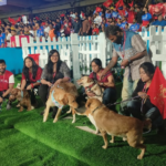 Ahead Of IPL 2024 Clash Vs KKR At Chinnaswamy, RCB Introduce ‘Dog Out’; Know What It Is