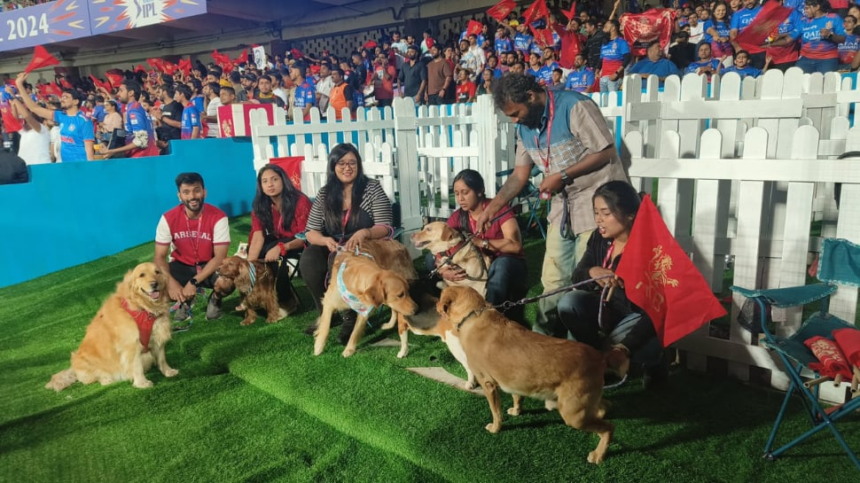 Ahead Of IPL 2024 Clash Vs KKR At Chinnaswamy, RCB Introduce ‘Dog Out’; Know What It Is