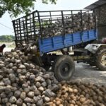 Summer of discontent in the land of coconuts in Karnataka