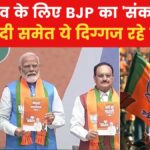 लोकसभा चुनाव के लिए BJP ने जारी किया घोषणा पत्र, किन मुद्दों पर रहा फोकस, देखें