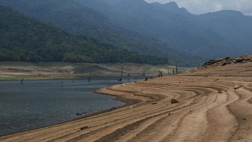 Water level in Papanasam dam stands at 54.60 feet