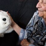 How cuddly robots could change dementia care