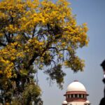 Every day counts in cases dealing with personal liberty, says Supreme Court