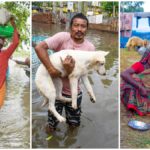 डूबे आशियाने, अपनों की ढूंढती गमगीन आंखें, इंसान के साथ तड़पते बेजुबान… असम में कुदरत का ये कैसा कहर!