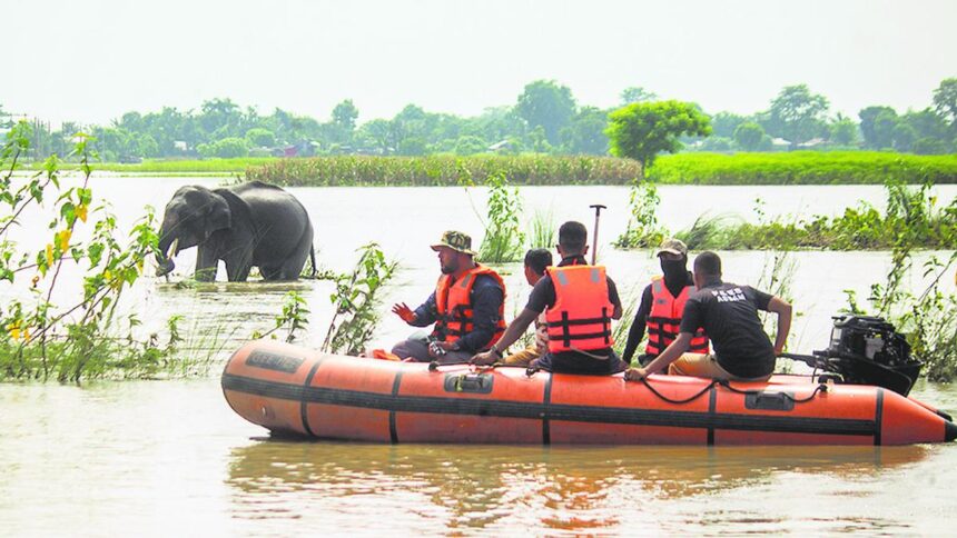 Over 33% of flood deaths in 8.82% area of Assam